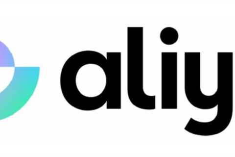 Aliya, the Digital Marketing Agency, Offers Affordable Solutions to Small Businesses Struggling..