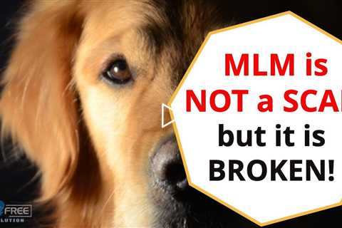 Is MLM Network Marketing a Scam? Can You Make Money With MLM or is MLM a Scam? [Anti-MLM]