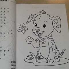 AGE APPROPRIATE? My Big Word Search Activity Book Review Unboxing by SmartyPuzzlers